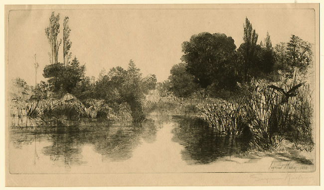 Haden, Shere Mill Pond