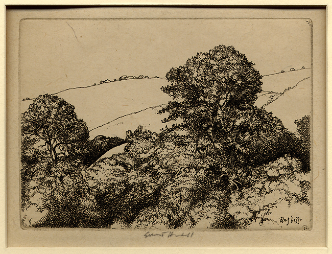 Haskell, Trees and Hills 