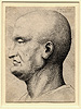 Hollar, Caricature Head