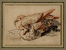 Attributed to Jan Fyt , Pigeons