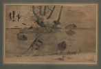 Van Hoytema, Ducks in a Pond